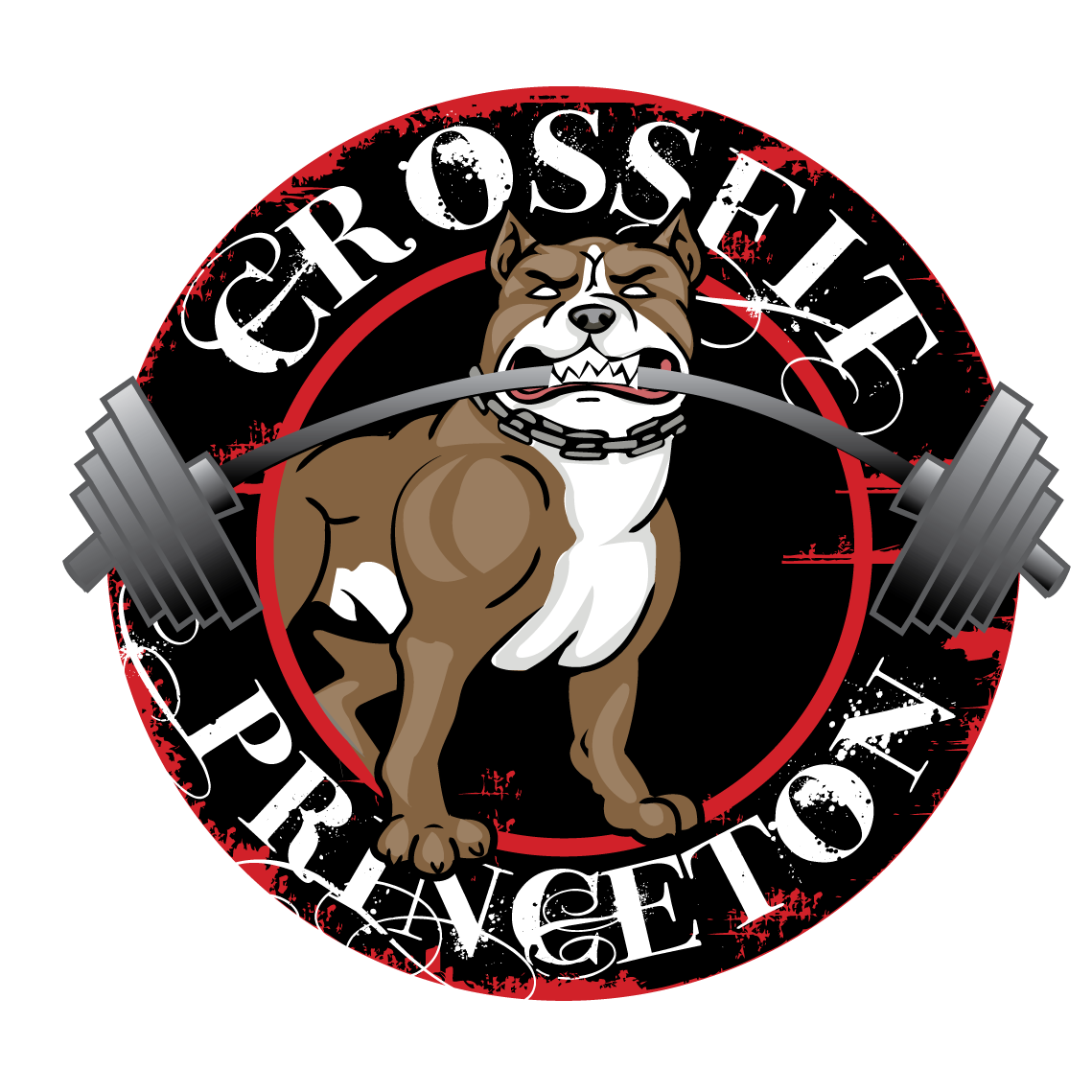 CrossFit Princeton WV
